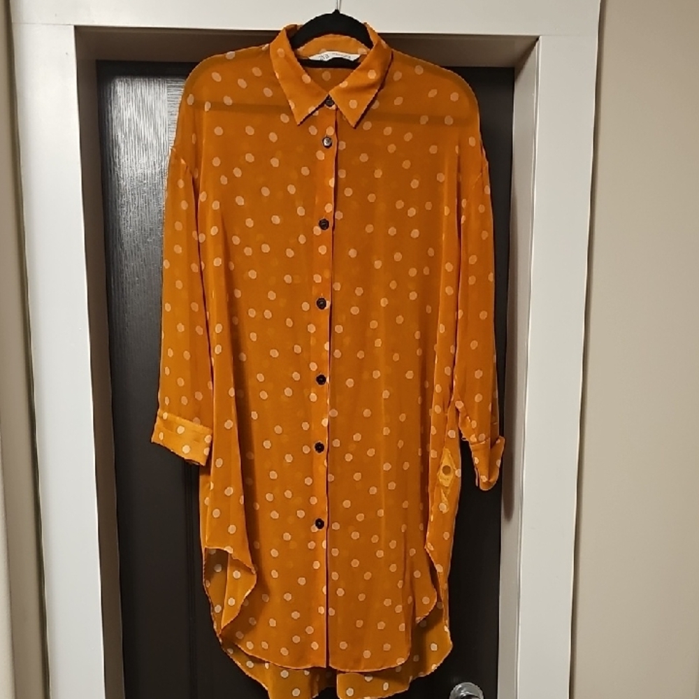 ZARA Sheer Polka Dot Blouse